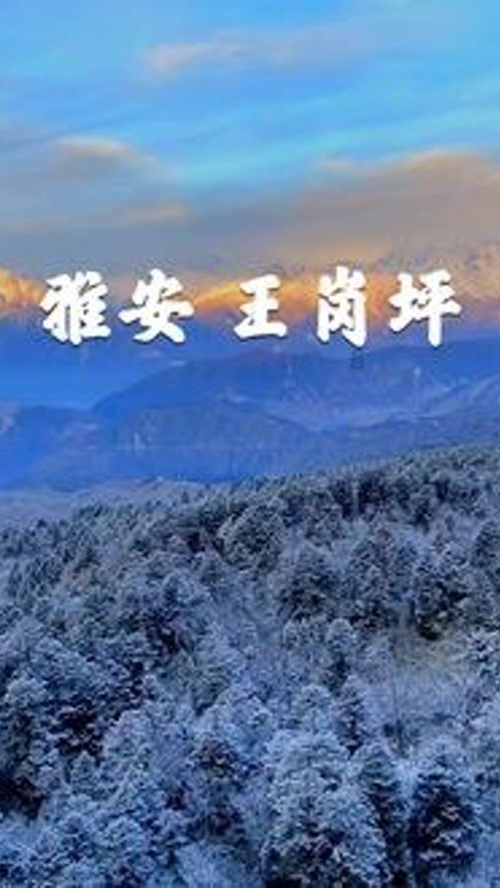 妙鸭相机app下载官网